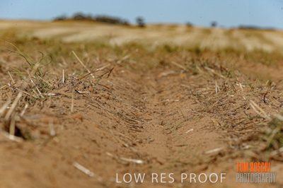 February 2012 / VITERRA_LOXTON_086_(120213)