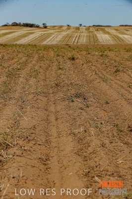 February 2012 / VITERRA_LOXTON_088_(120213)