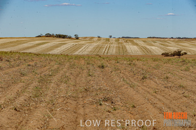 February 2012 / VITERRA_LOXTON_089_(120213)