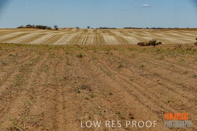 February 2012 / VITERRA_LOXTON_090_(120213)