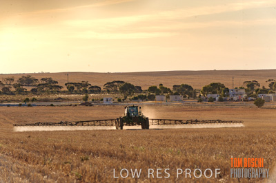 February 2012 / VITERRA_LOXTON_127_(120213)