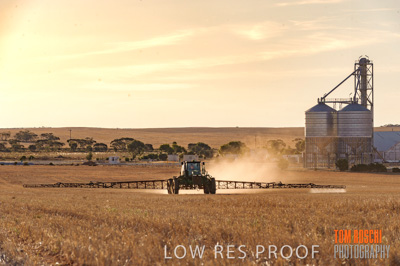 February 2012 / VITERRA_LOXTON_128_(120213)
