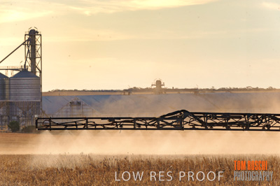 February 2012 / VITERRA_LOXTON_135_(120213)
