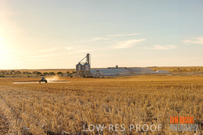 February 2012 / VITERRA_LOXTON_137_(120213)