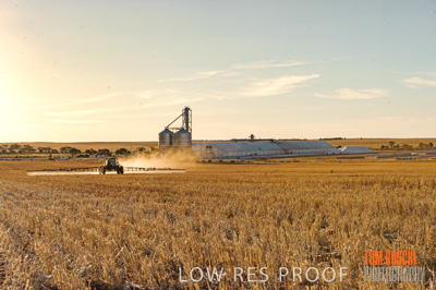 February 2012 / VITERRA_LOXTON_138_(120213)