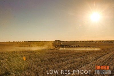 February 2012 / VITERRA_LOXTON_144_(120213)