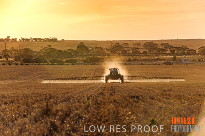 February 2012 / VITERRA_LOXTON_146_(120213)