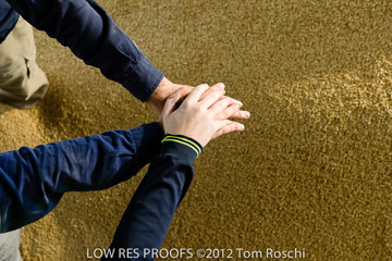 VITERRA / VITERRA_HARVEST_HERO_011_(121015)