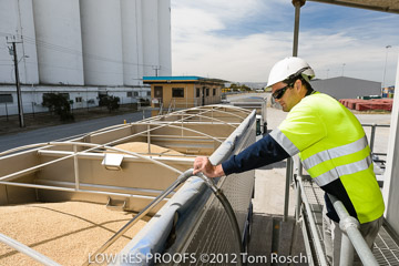 VITERRA / VITERRA_HARVEST_HERO_102_(121015)