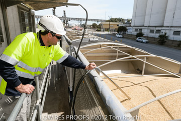 VITERRA / VITERRA_HARVEST_HERO_105_(121015)