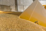 VITERRA / VITERRA_DOOEN__017_(130501)