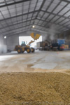 VITERRA / VITERRA_DOOEN__018_(130501)