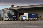 VITERRA / VITERRA_DOOEN__030_(130501)