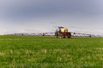 VITERRA / ANNA_BINNA_134_(130604)