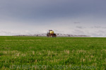 VITERRA / ANNA_BINNA_136_(130604)