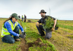 TREE_PLANTING_YP_014_130604