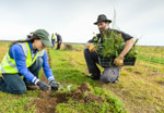 TREE_PLANTING_YP_016_130604