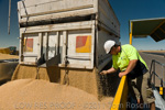 VITERRA / VITERRA_HORSHAM_196_(120208)