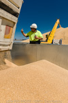 VITERRA / VITERRA_HORSHAM_224_(120208)