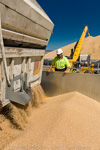 VITERRA / VITERRA_HORSHAM_227_(120208)