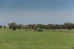 VITERRA 2013 / VITERRA_TANGERBOUN_094_(131009)