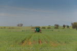 VITERRA 2013 / VITERRA_TANGERBOUN_099_(131009)