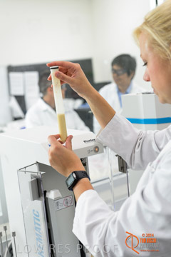 VITERRA 2013 / VITERRA_LABS_061