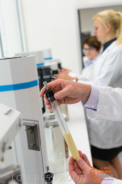 VITERRA 2013 / VITERRA_LABS_099