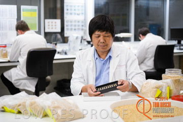 VITERRA 2013 / VITERRA_LABS_192