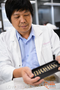 VITERRA 2013 / VITERRA_LABS_206