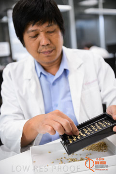 VITERRA 2013 / VITERRA_LABS_207