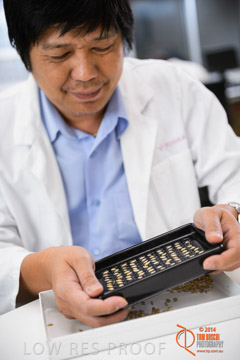 VITERRA 2013 / VITERRA_LABS_210