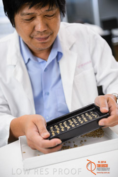 VITERRA 2013 / VITERRA_LABS_211