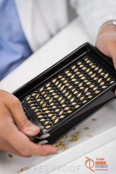 VITERRA 2013 / VITERRA_LABS_212