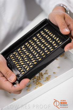 VITERRA 2013 / VITERRA_LABS_215