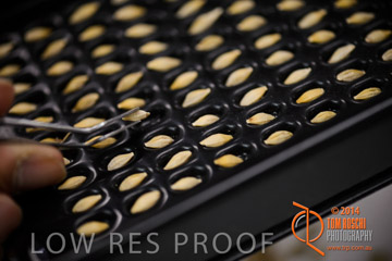 VITERRA 2013 / VITERRA_LABS_223