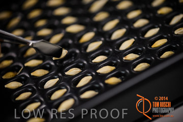 VITERRA 2013 / VITERRA_LABS_227