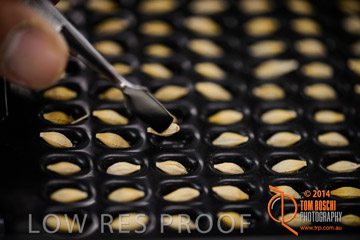 VITERRA 2013 / VITERRA_LABS_229