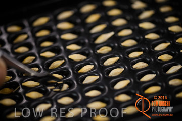 VITERRA 2013 / VITERRA_LABS_233