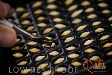 VITERRA 2013 / VITERRA_LABS_234