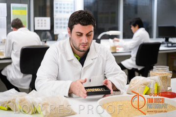 VITERRA 2013 / VITERRA_LABS_236