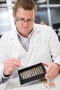 VITERRA 2013 / VITERRA_LABS_253