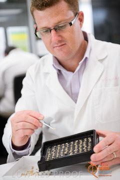 VITERRA 2013 / VITERRA_LABS_265