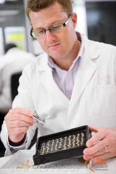 VITERRA 2013 / VITERRA_LABS_267