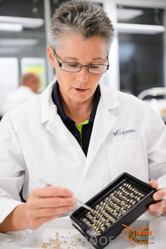 VITERRA 2013 / VITERRA_LABS_268