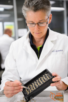 VITERRA 2013 / VITERRA_LABS_269