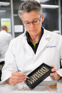 VITERRA 2013 / VITERRA_LABS_279