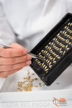 VITERRA 2013 / VITERRA_LABS_282