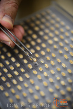 VITERRA 2013 / VITERRA_LABS_289