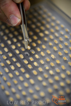 VITERRA 2013 / VITERRA_LABS_291